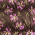 Rich Coffee Ikat Floral