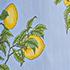 Light Sea Blue Stripe Citrus