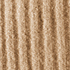 Light Camel