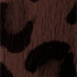 Brown Leopard