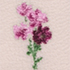 Aster Pink Floral