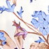 Lilac Petal/Clear Blue Floral