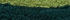 Green Sea/Rain Forest