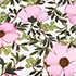 Floral Blossom/White/Pink