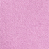 Aster Pink