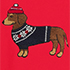 Doxie/Compass Red