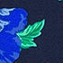 Navy/Tossed Poppy Floral
