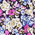 Blackberry Flower Patch