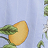 Light Sea Blue Stripe Citrus