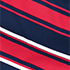 Diagonal Stripe/Navy
