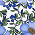 Floral Blossom/White/Blue