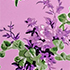 Pink/White Blooms
