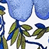 Clear Blue Sky Floral Blossom