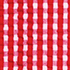Compass Red/Pink Gingham