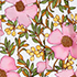 Light Rose Pink Floral Blossom