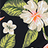 Hibiscus Floral/Black