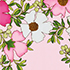 Floral Blossom/Pink Frost