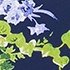 Navy/White Blooms