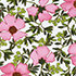 Pink/Green Geo Floral Border