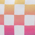 Rainbow/White Check