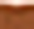 Rich Ginger Brown Floral