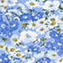 Clear Blue/Ivory Flower Patch
