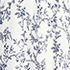 Navy Birds/Ivory