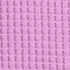 Aster Pink