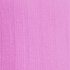 Aster Pink