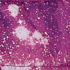 Outerspace/Purple