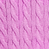 Aster Pink Tipping