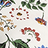 Ivory Multi Floral