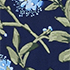 Deep Sea/Blue Hydrangea