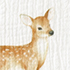 Woodland Animals/Ivory