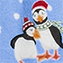 Winter Puffins/Clear Blue Sky