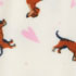 Dachshund/Cream