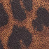 Leopard/Brown