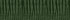 Fresh Evergreen