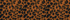 Burnt Caramel Leopard Print