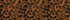 Burnt Caramel Leopard Print