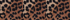 Warm Tawny Brown Leopard