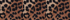 Warm Tawny Brown Leopard