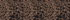 Warm Brown Spotted Leopard