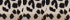 Warm Tawny Brown Ombre Leopard