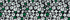 Black/Ivory Daisy Floral
