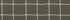 Forest Moss Windowpane