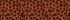 Burnt Caramel Leopard Print