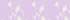 Blushed Lilac Flower Sprig