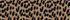 Warm Tawny Brown Leopard