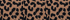 Black Leopard